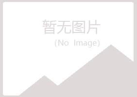 邙山区冰露咨询有限公司